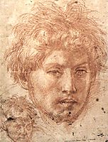 Head of a Young Man, 1520, sarto