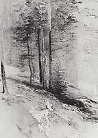 Forest, 1877, savrasov