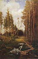 Glade in a pine forest, 1883, savrasov