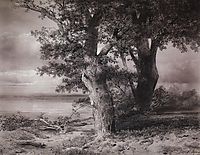 Oaks on the shore, 1867, savrasov