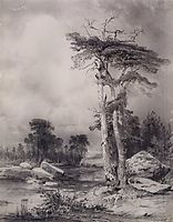 Old pine, 1854, savrasov