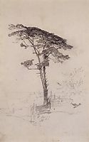 Pine, 1854, savrasov