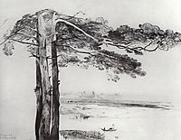 Pine from Gusareva, c.1850, savrasov