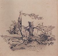 Pines, adjacent to the root of the barrel, 1854, savrasov