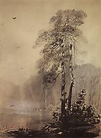 Pines on the shores of Lake, 1890, savrasov