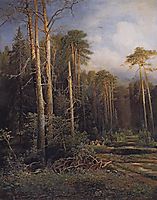 The road in the woods, 1871, savrasov