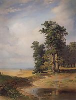 Summer landscape with oaks, 1850, savrasov