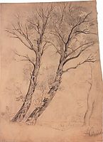 Trees, c.1850, savrasov