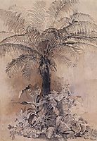 Tropical plants, 1854, savrasov