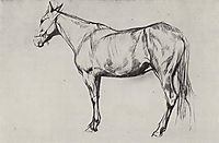 Horse, 1884, serov
