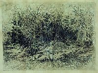 Anthill, 1892, shishkin