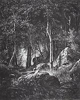 At the edge of a birch grove. Valaam, 1860, shishkin