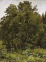At the edge of the forest, 1885, shishkin