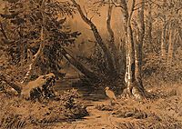 Backwoods, 1870, shishkin