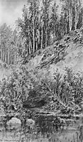 Bank of the stream, 1885, shishkin