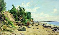 Beach, 1890, shishkin