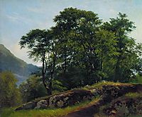 Beech Forest in Switzerland, 1863, shishkin