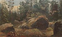 Boulders in forest, shishkin
