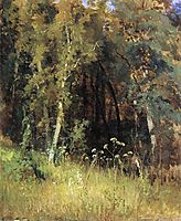 Covert, 1874, shishkin