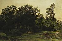 Deciduous Forest, shishkin