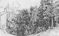 Deciduous Forest, 1873, shishkin