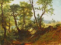 Edge of the Forest , 1866, shishkin