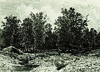 Edge of the Forest , 1873, shishkin