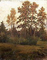 Edge of the Forest , 1892, shishkin