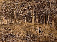 Edge of the Forest (Spruce forest), 1890, shishkin