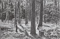 Ferns, 1886, shishkin