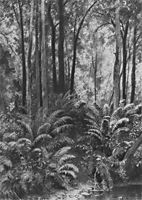 Ferns in the forest, 1877, shishkin