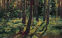 Ferns in the forest. Siverskaya, 1883, shishkin