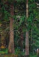 Fir forest, 1890, shishkin