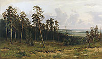 Fir forest on the river Kama, 1877, shishkin
