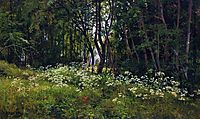 Flowers on the forest edge, 1893, shishkin