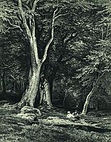 Forest, 1869, shishkin