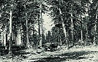 Forest, 1876, shishkin