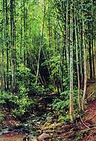 Forest-aspen, 1896, shishkin