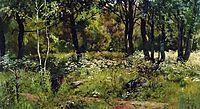 Forest Glade , shishkin