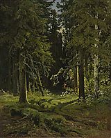 Forest Landscape, 1878, shishkin