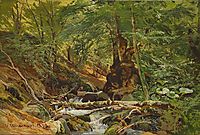 Forest Landscape, 1879, shishkin