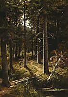 Forest Landscape, 1890, shishkin