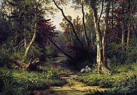 Forest Landscape with Herons, 1870, shishkin