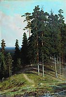 Forest from the mountain, 1895, shishkin