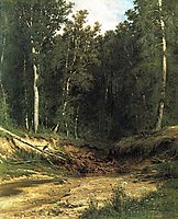 Forest Stream, 1874, shishkin