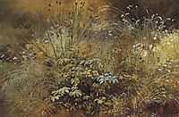 Grass, 1892, shishkin