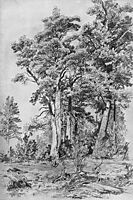 In the forest, 1889, shishkin