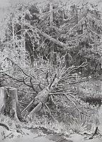 In the forest. Fallen Tree, 1878, shishkin
