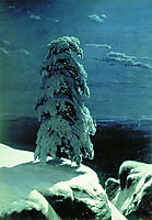 In the Wild North , 1891, shishkin