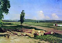 Logs. Kostiantynovka village near the Red village, 1869, shishkin